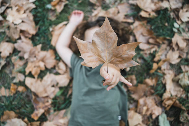 istock Happy child playing and showing dry leaf of tree 2153206611