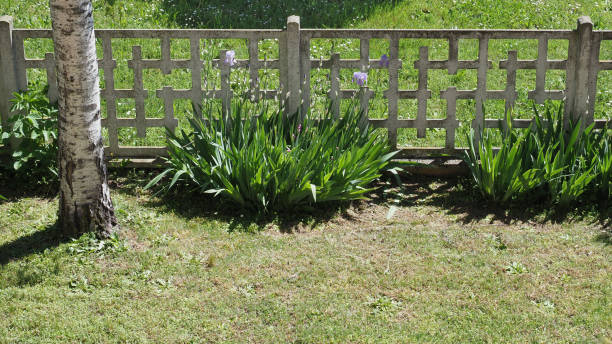 istock garden with meadow and flowers background 2153207547