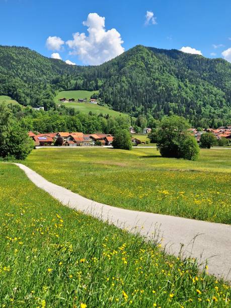 istock springtime in Ruhpolding - street / way in mountains / alps 2153214897