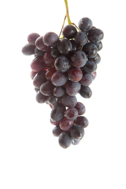 istock Bunch of organic black grapes isolated on white background 2153217407