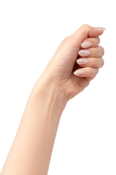 istock Woman hands  isolated on a white background. 2153218718