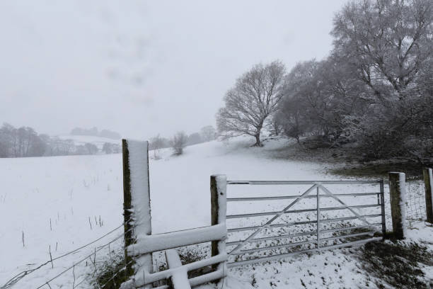A series of images taken over farmland during a sudden flurry of snow.