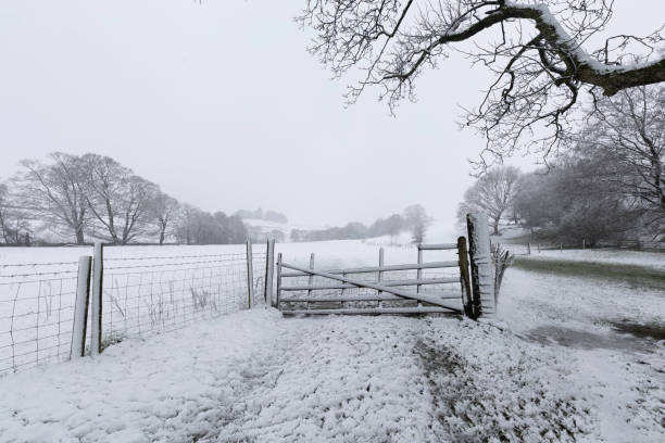 A series of images taken over farmland during a sudden flurry of snow.
