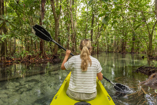 istock Woman Kayaking Through Tropical Rainforest Stream 2153227531