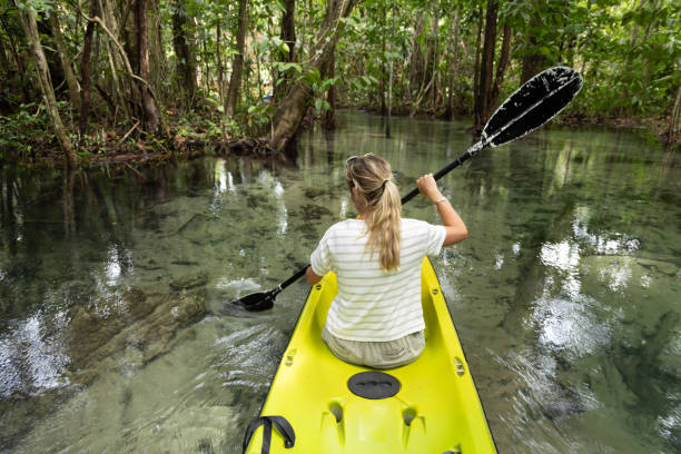 istock Woman Kayaking Through Clear Mangrove Channel 2153227563