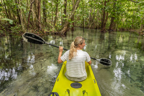 istock Woman Kayaking in Clear Mangrove Waterway 2153227569