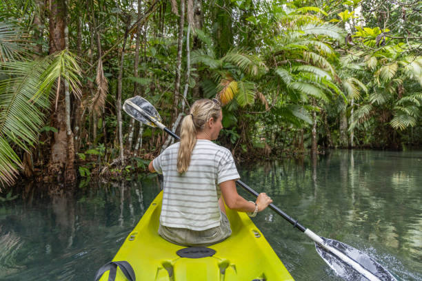 istock Woman Kayaking Through Dense Tropical Mangrove 2153227784