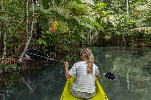 istock Woman Kayaking Through Lush Tropical Mangroves 2153227786