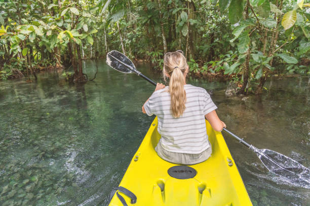 istock Woman Kayaking in Clear Tropical Mangrove Stream 2153228049