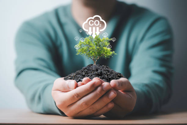 istock Conservationist holding growth tree with carbon reduction icon for carbon credit and footprint to limit global warming from climate change, Bio Circular Green Economy concept. 2153229796