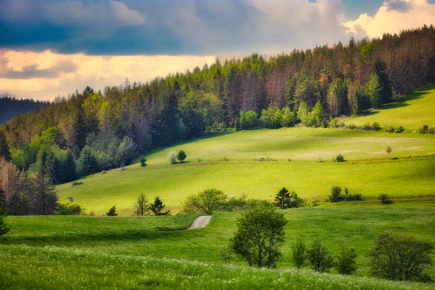 wide landscapes in Meura in Thuringia