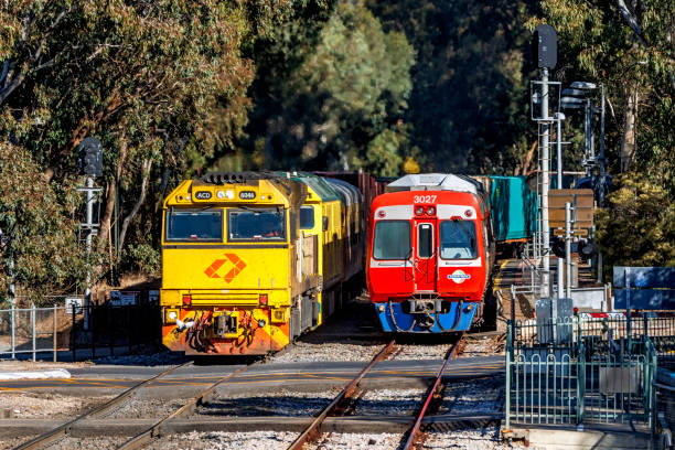 The train tracks the run through Lake Bolac country Victoria and the silos that sit next to it