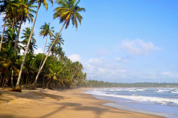 istock Beautiful sandy beach , Axim, Ghana 2153234474