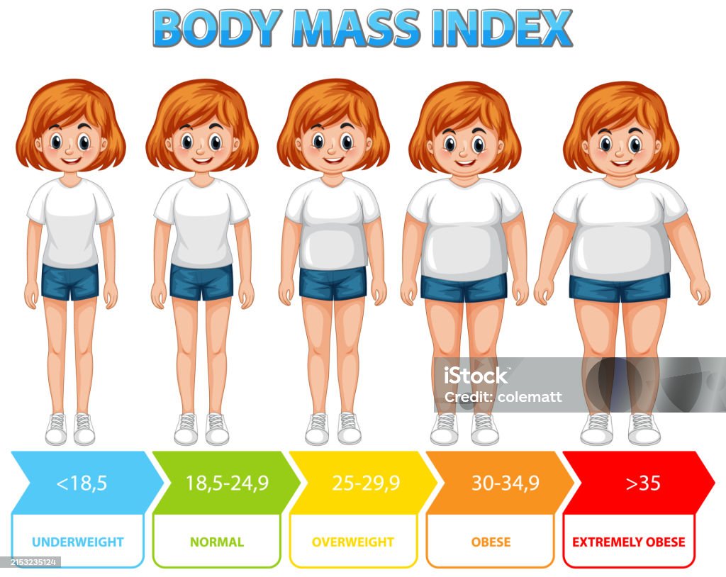 Visual Bmi Reference Visual Representation Of Bmi Categories And Ranges Stock Illustration ...