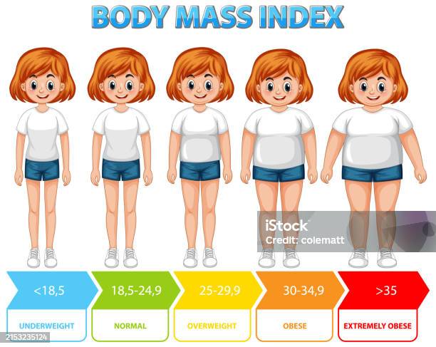 Moderate Built Body Visual Representation Of Bmi Categories And Ranges Stock Illustration ...