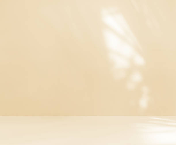 istock Empty cream beige yellow room studio with shadow of leaves. 2153236545