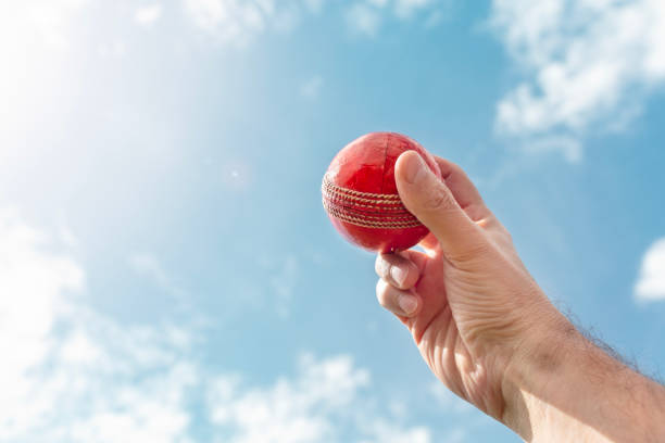 Cricket bowler about to bowl the ball against blue sky