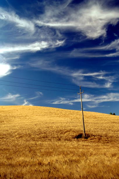 wheat fields on the Montefeltro hills agaist the sky