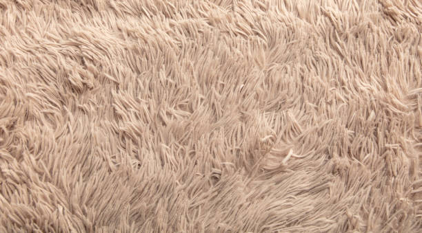 istock Beige shag carpet as an abstract background. Texture 2153243933