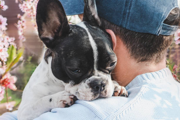 istock Attractive man holding a puppy in the park 2153246499