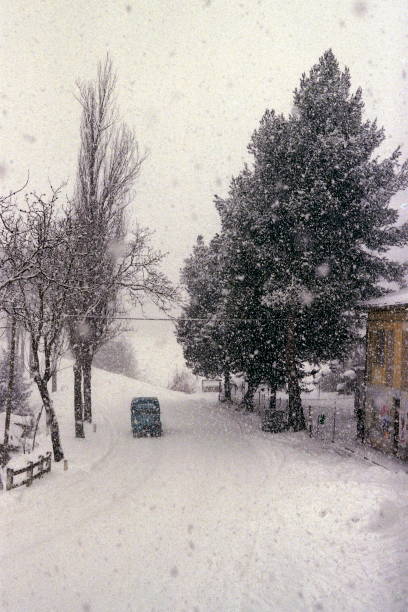 snowy road in a blizzard