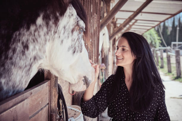 istock Woman stroking horse in stall 2153249003