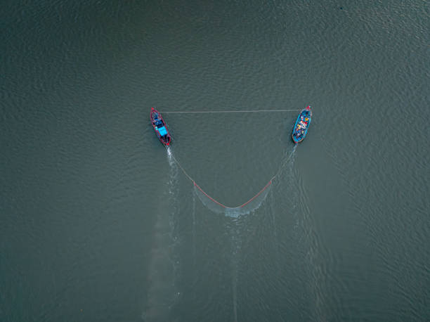 A unique pattern created by bamboo poles embedded in the mud in a seaweed farm in Xiapu