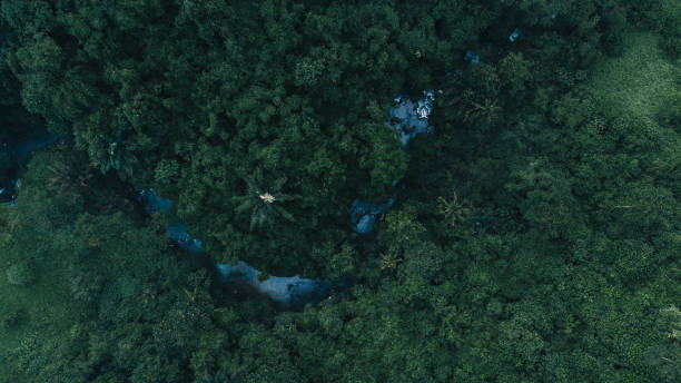 istock Natureside of Bali, Indonesia 2153257314