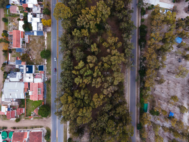 istock Road seen from the air vertically separated by trees and houses. 2153257677