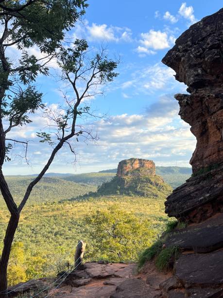istock Rocks and tree, green vegetation and hill on background 2153259870