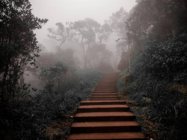 A captivating image of the ancient stairway leading to the summit of Sri Pada (Adam's Peak) in Sri Lanka. Sri Pada, Adam's Peak, Sri Lanka, vv