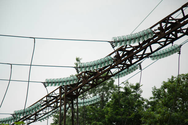 High voltage glass insulators   on electric transmission line