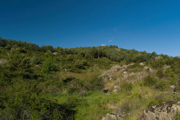 istock mountains, landscape, view, nature, plants, spring, sunny, flora, rocks, colors, 2153262447