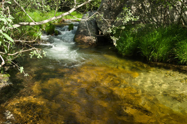 istock landscape, spring, view, river, plants, nature, water, transparent, clean, current, green, mountain, 2153262569