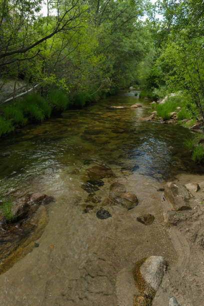 istock landscape, spring, view, river, plants, nature, water, transparent, clean, current, green, mountain, 2153262625