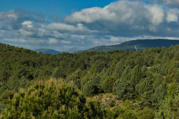 spring mountain view on a sunny day near Madrid, Spain