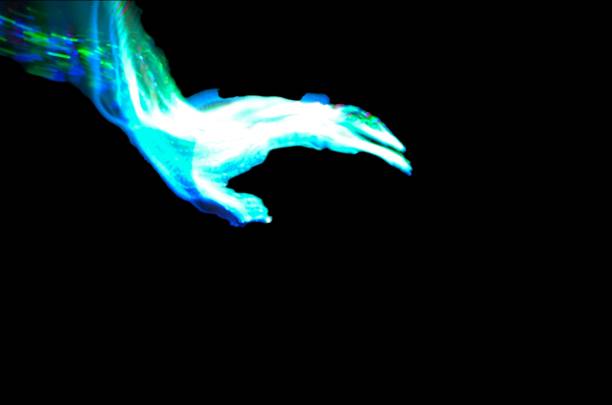 Abstract phoenix swirling in the shape of a bird