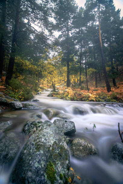 Waterfall in the Lozoya River, Rascafria (Madrid)