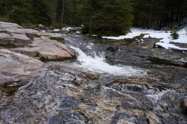 Spindleruv Mlyn, Czech Republic - April 27, 2024 - The White Elbe is a left-side tributary of the Elbe River  at the beginning of spring