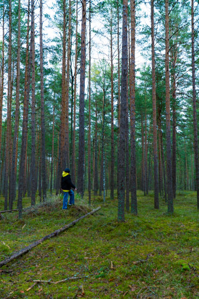 istock Woman Exploring a Pine Forest in Casual Outfit 2153271096