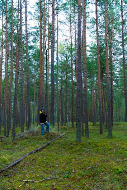 istock Woman Exploring a Pine Forest in Casual Outfit 2153271202