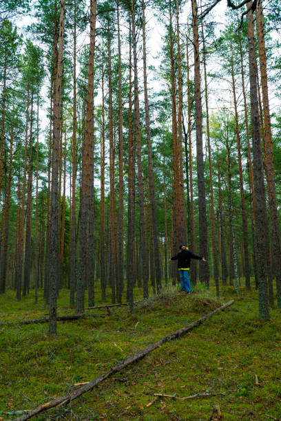 istock Woman Exploring a Pine Forest in Casual Outfit 2153271317