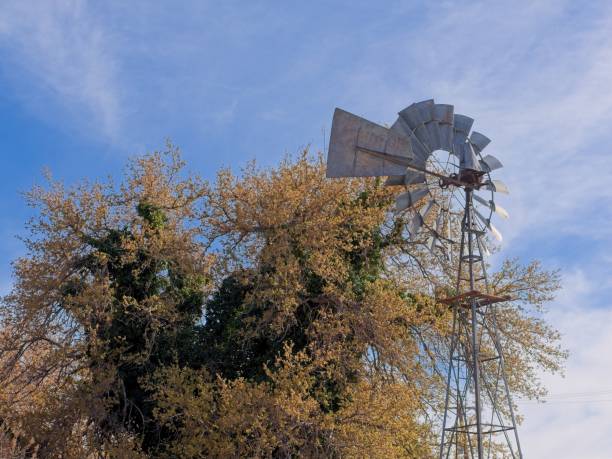 Windmill and spring flowering tree in downtown Deming New Mexico.