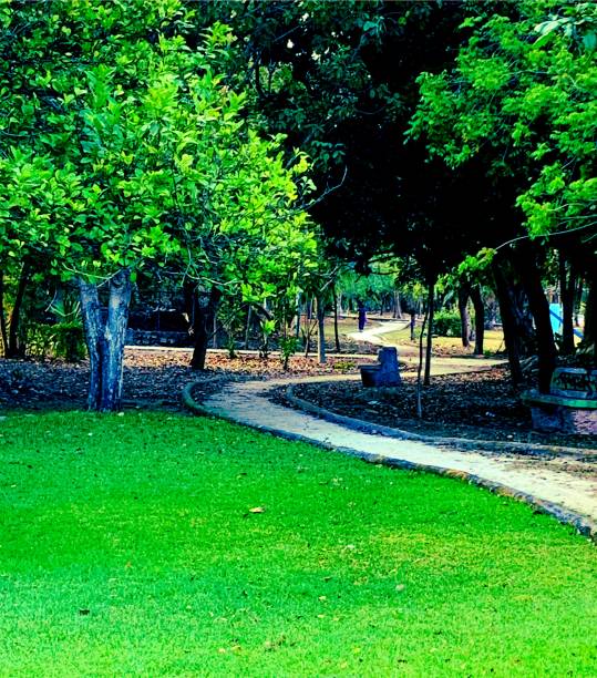istock Latin America. Mexico. Beautiful nature 2153274233