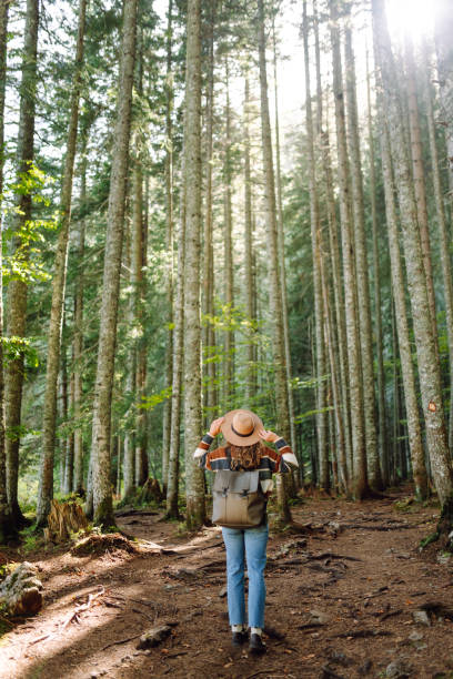 istock Young female traveler with backpack standing in forest with tall coniferous trees. 2153276495