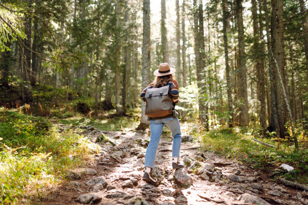 istock Young female traveler with backpack standing in forest with tall coniferous trees. 2153276508