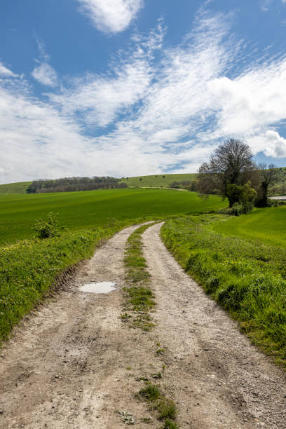 istock Looking along a track through farmland in the South Downs, with a blue sky overhead 2153280198