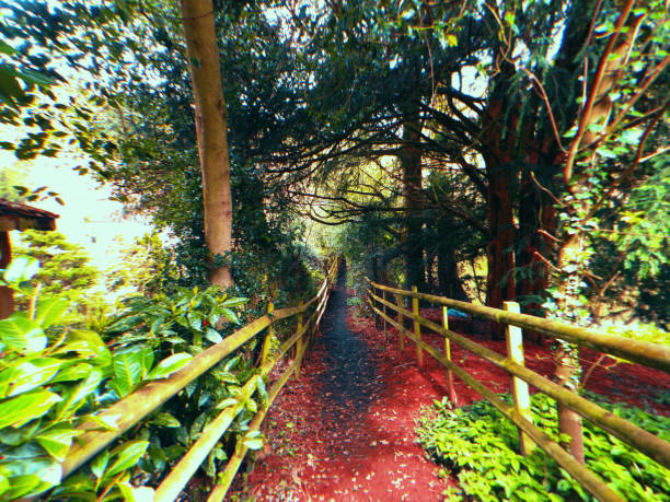 A walk can seem so daunting but a short walk can be so rewarding take in every sight every sound every smell as you walk and you won’t regret it.