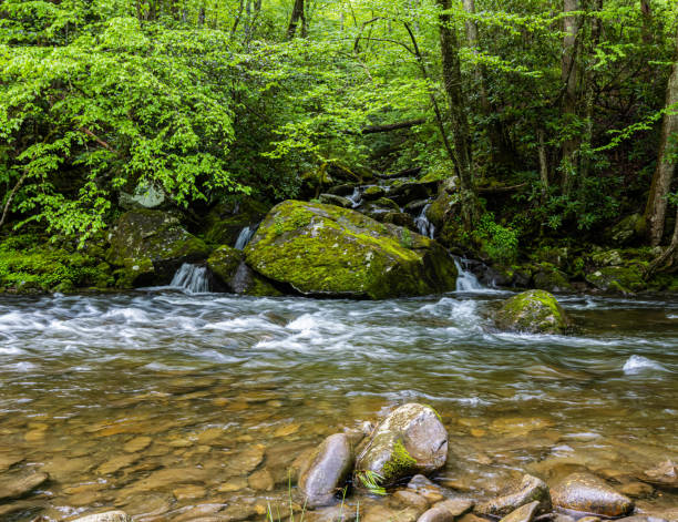 istock Mannis Branch Falls Across The Little River 2153285323