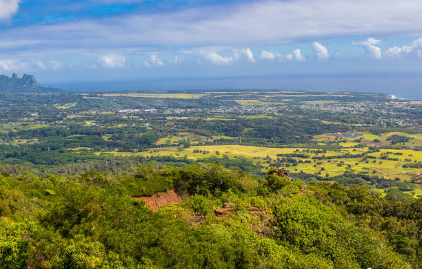 istock View of Kapa'a Town and Kalalea Mountain 2153286327